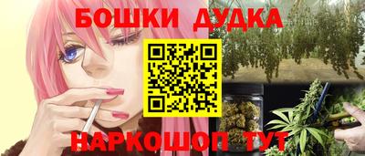крисы Лесосибирск