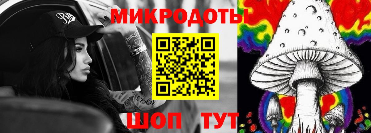 Псилоцибиновые грибы Cubensis Шали